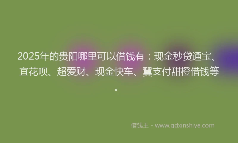 2025年的贵阳哪里可以借钱有：现金秒贷通宝、宜花呗、超爱财、现金快车、翼支付甜橙借钱等。