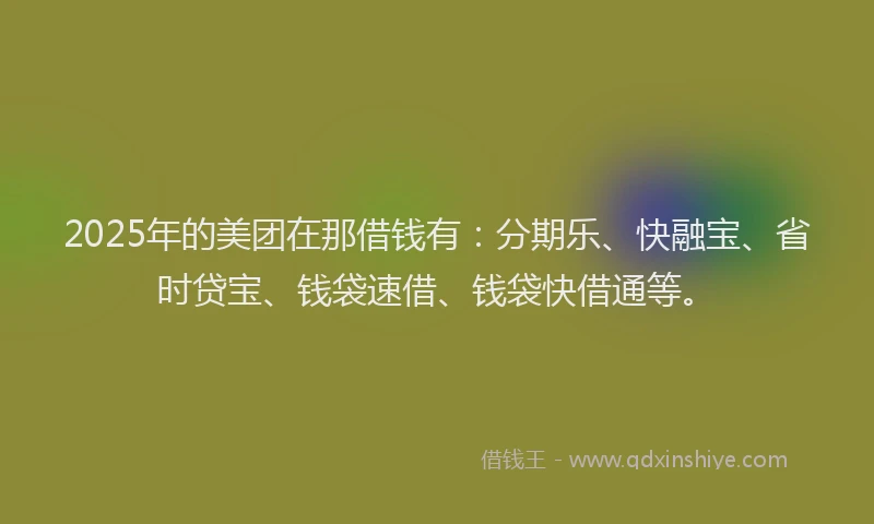 2025年的美团在那借钱有：分期乐、快融宝、省时贷宝、钱袋速借、钱袋快借通等。