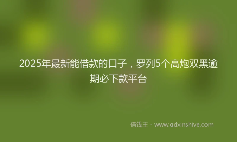 2025年最新能借款的口子，罗列5个高炮双黑逾期必下款平台