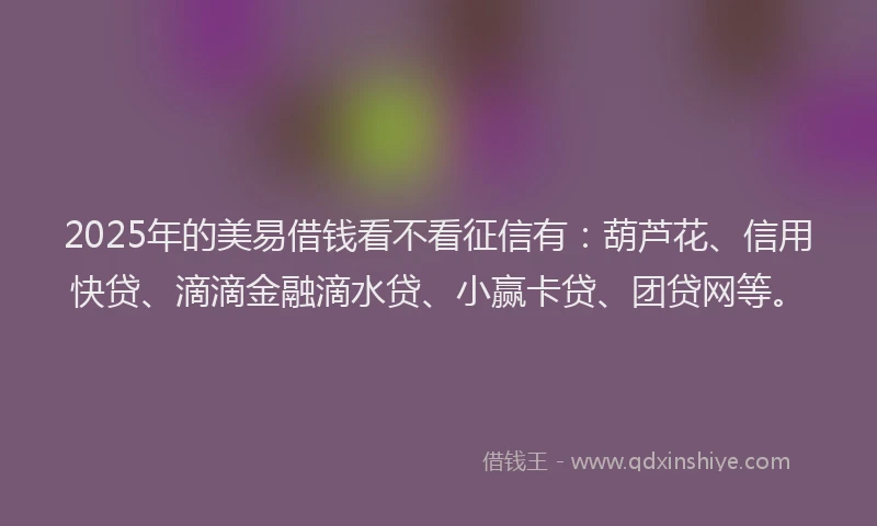 2025年的美易借钱看不看征信有：葫芦花、信用快贷、滴滴金融滴水贷、小赢卡贷、团贷网等。