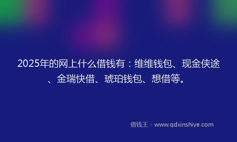 2025年的网上什么借钱有：维维钱包、现金侠途、金瑞快借、琥珀钱包、想借等。