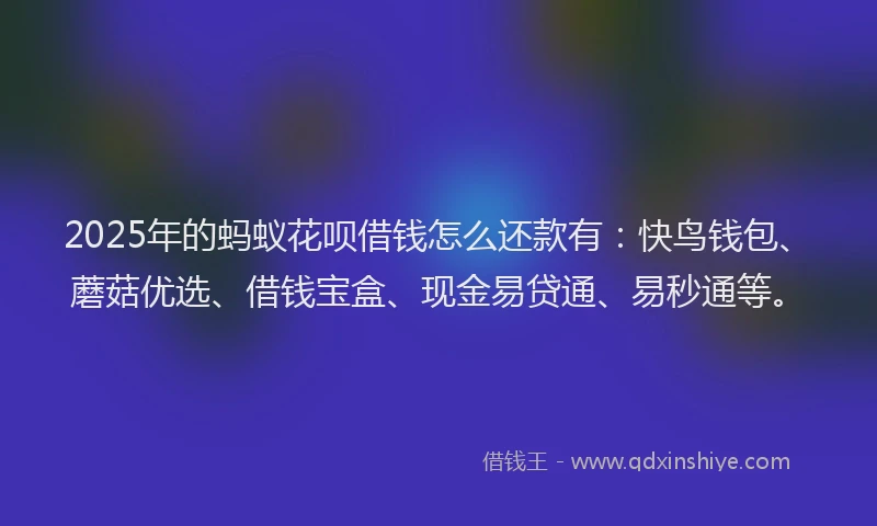 2025年的蚂蚁花呗借钱怎么还款有：快鸟钱包、蘑菇优选、借钱宝盒、现金易贷通、易秒通等。