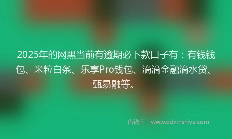 2025年的网黑当前有逾期必下款口子有：有钱钱包、米粒白条、乐享Pro钱包、滴滴金融滴水贷、甄易融等。