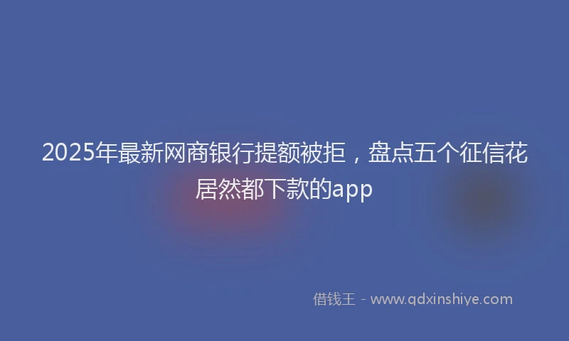 2025年最新网商银行提额被拒，盘点五个征信花居然都下款的app