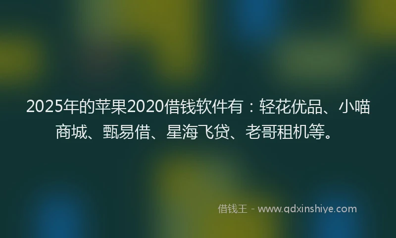 2025年的苹果2020借钱软件有：轻花优品、小喵商城、甄易借、星海飞贷、老哥租机等。