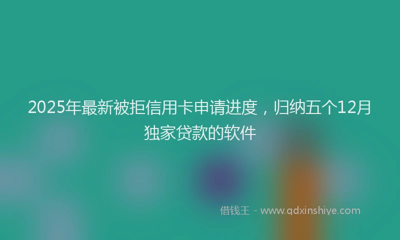 2025年最新被拒信用卡申请进度，归纳五个12月独家贷款的软件