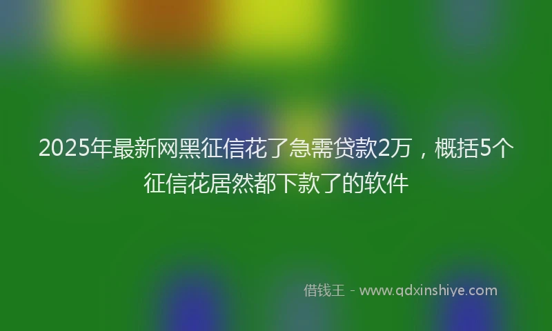 2025年最新网黑征信花了急需贷款2万，概括5个征信花居然都下款了的软件