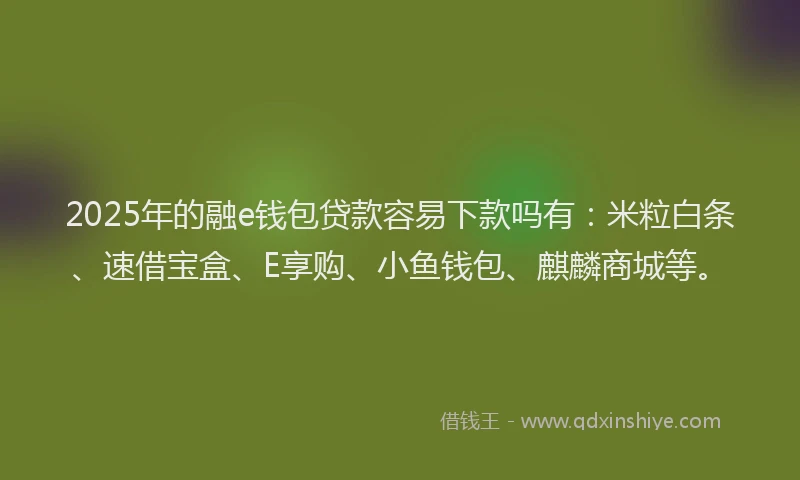 2025年的融e钱包贷款容易下款吗有：米粒白条、速借宝盒、E享购、小鱼钱包、麒麟商城等。