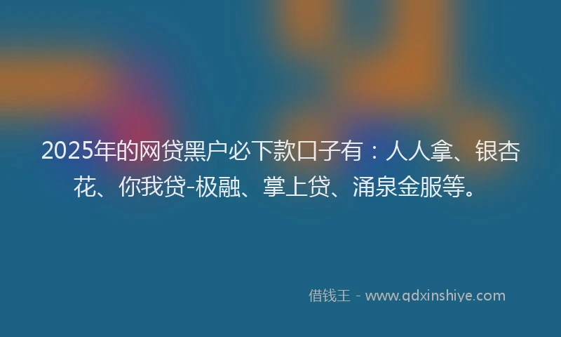2025年的网贷黑户必下款口子有：人人拿、银杏花、你我贷-极融、掌上贷、涌泉金服等。