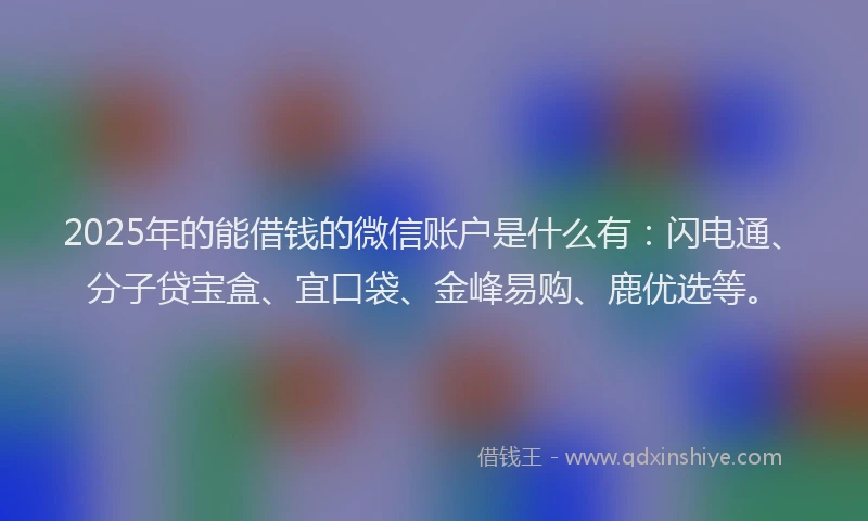 2025年的能借钱的微信账户是什么有：闪电通、分子贷宝盒、宜口袋、金峰易购、鹿优选等。