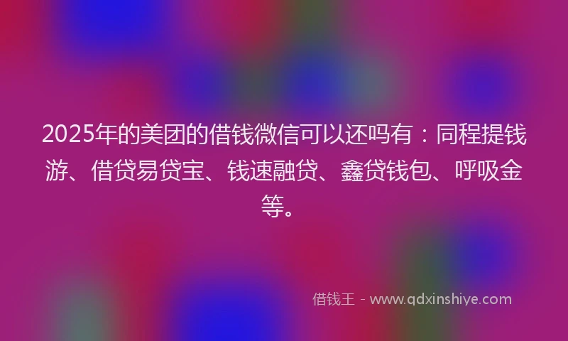 2025年的美团的借钱微信可以还吗有：同程提钱游、借贷易贷宝、钱速融贷、鑫贷钱包、呼吸金等。