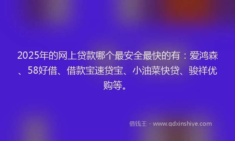 2025年的网上贷款哪个最安全最快的有：爱鸿森、58好借、借款宝速贷宝、小油菜快贷、骏祥优购等。