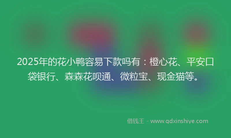 2025年的花小鸭容易下款吗有：橙心花、平安口袋银行、森森花呗通、微粒宝、现金猫等。