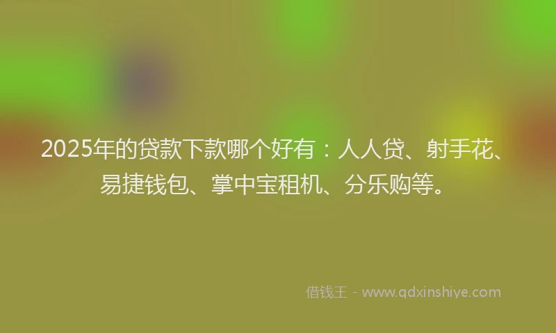 2025年的贷款下款哪个好有：人人贷、射手花、易捷钱包、掌中宝租机、分乐购等。