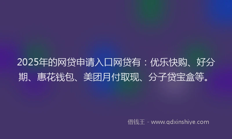 2025年的网贷申请入口网贷有：优乐快购、好分期、惠花钱包、美团月付取现、分子贷宝盒等。