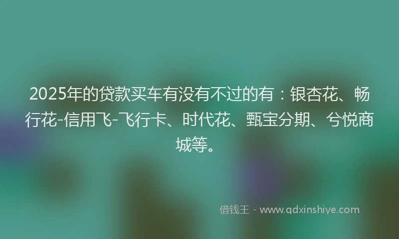 2025年的贷款买车有没有不过的有：银杏花、畅行花-信用飞-飞行卡、时代花、甄宝分期、兮悦商城等。