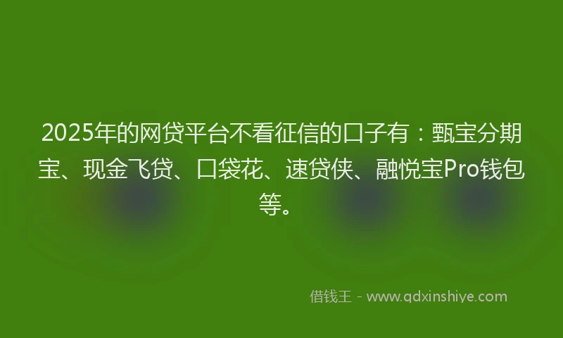 2025年的网贷平台不看征信的口子有：甄宝分期宝、现金飞贷、口袋花、速贷侠、融悦宝Pro钱包等。