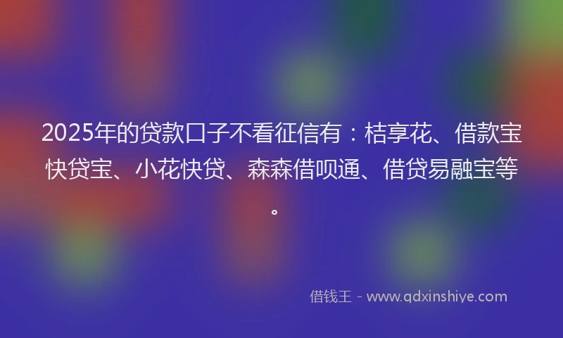 2025年的贷款口子不看征信有：桔享花、借款宝快贷宝、小花快贷、森森借呗通、借贷易融宝等。