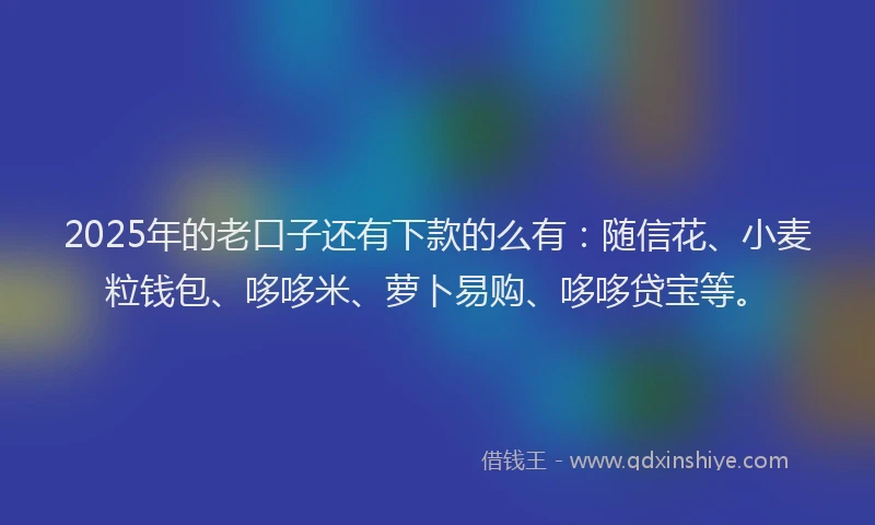 2025年的老口子还有下款的么有：随信花、小麦粒钱包、哆哆米、萝卜易购、哆哆贷宝等。