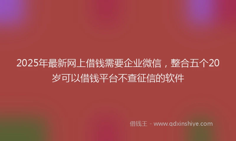 2025年最新网上借钱需要企业微信，整合五个20岁可以借钱平台不查征信的软件