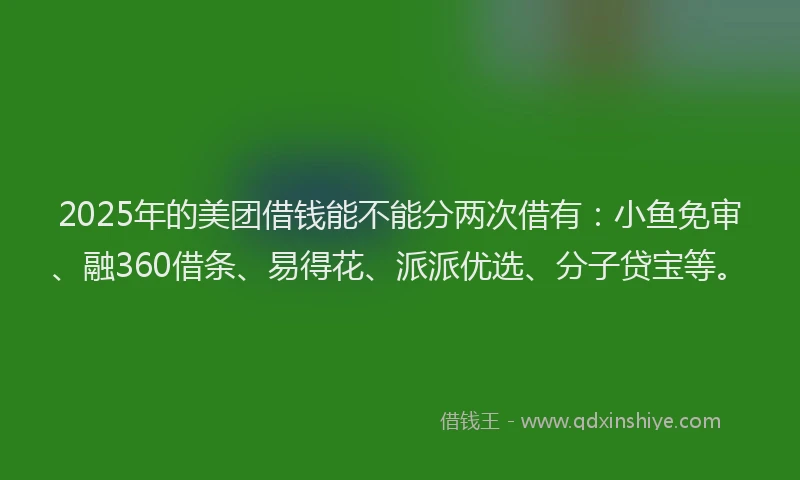 2025年的美团借钱能不能分两次借有：小鱼免审、融360借条、易得花、派派优选、分子贷宝等。