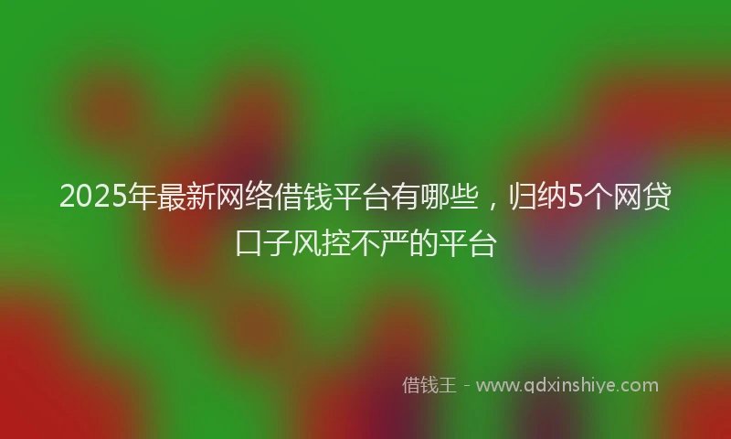2025年最新网络借钱平台有哪些，归纳5个网贷口子风控不严的平台