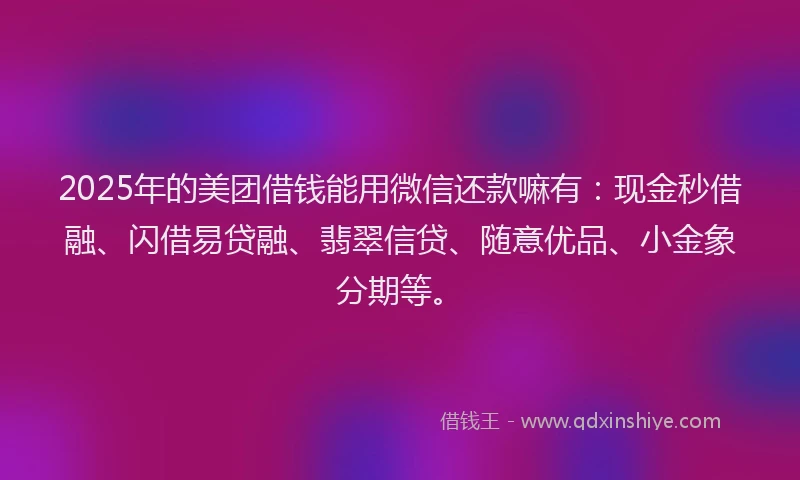 2025年的美团借钱能用微信还款嘛有：现金秒借融、闪借易贷融、翡翠信贷、随意优品、小金象分期等。