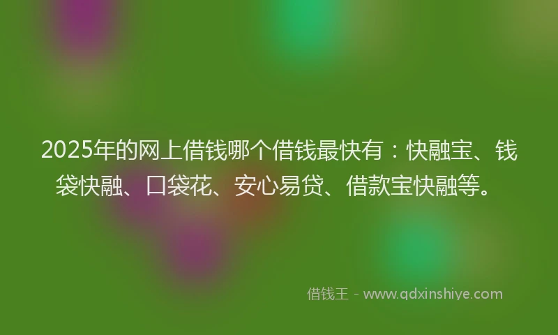 2025年的网上借钱哪个借钱最快有：快融宝、钱袋快融、口袋花、安心易贷、借款宝快融等。
