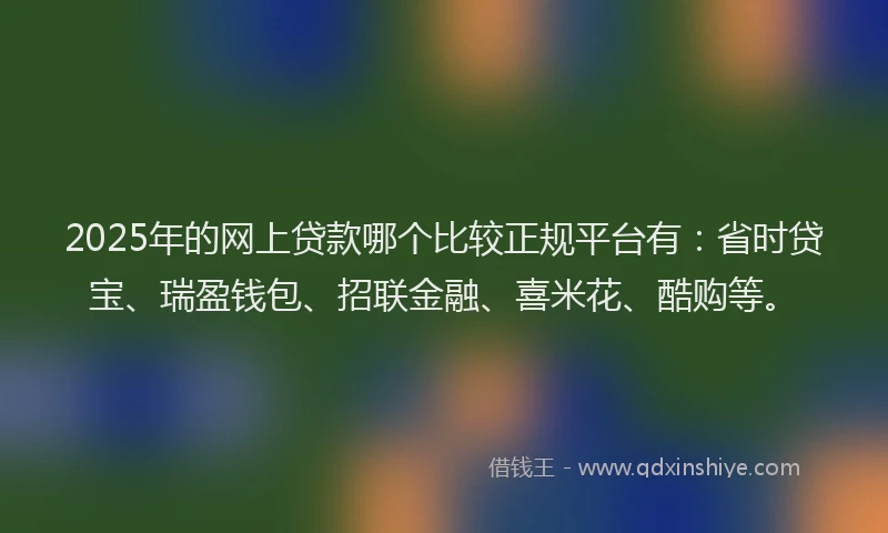 2025年的网上贷款哪个比较正规平台有：省时贷宝、瑞盈钱包、招联金融、喜米花、酷购等。