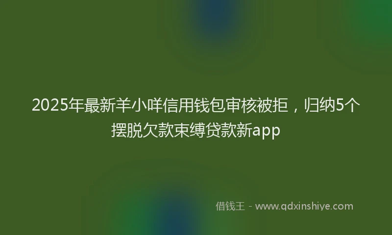 2025年最新羊小咩信用钱包审核被拒，归纳5个摆脱欠款束缚贷款新app