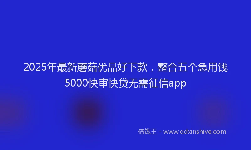 2025年最新蘑菇优品好下款,整合五个急用钱5000快审快贷无需征信app