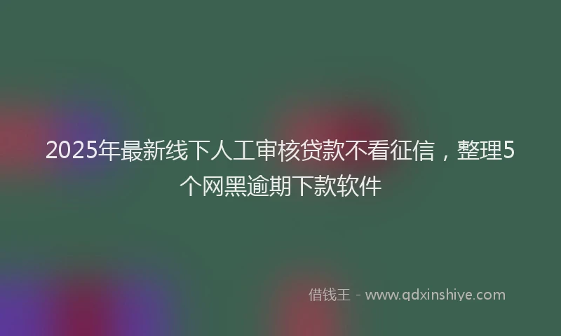 2025年最新线下人工审核贷款不看征信，整理5个网黑逾期下款软件