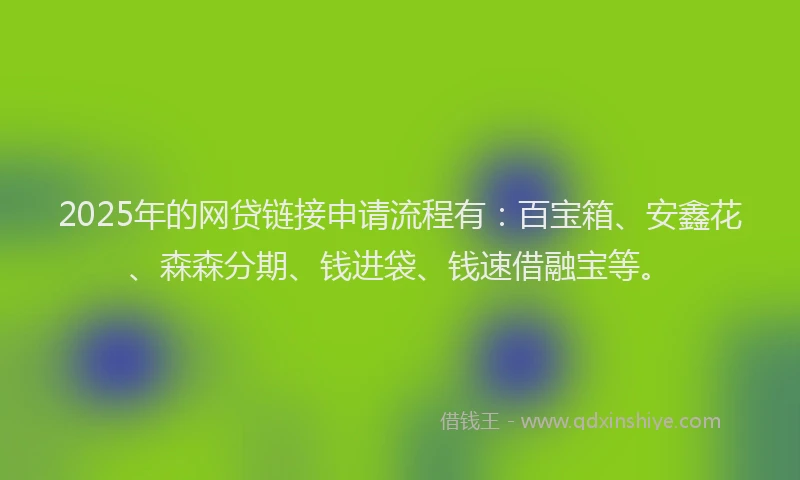 2025年的网贷链接申请流程有：百宝箱、安鑫花、森森分期、钱进袋、钱速借融宝等。