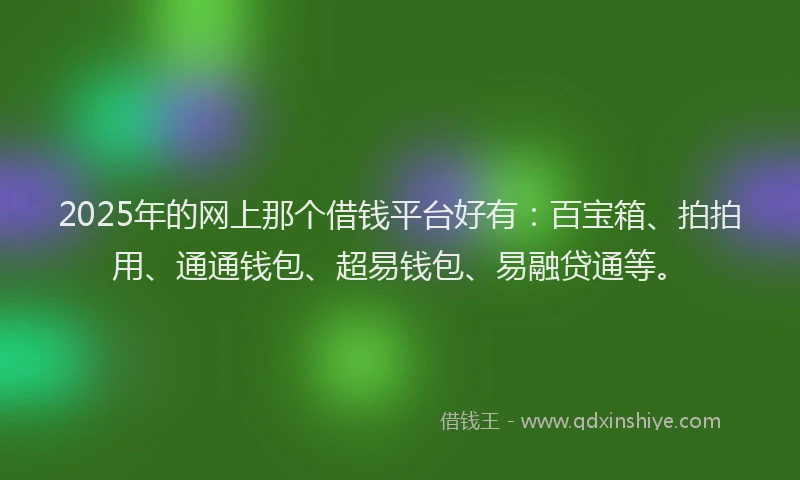 2025年的网上那个借钱平台好有：百宝箱、拍拍用、通通钱包、超易钱包、易融贷通等。