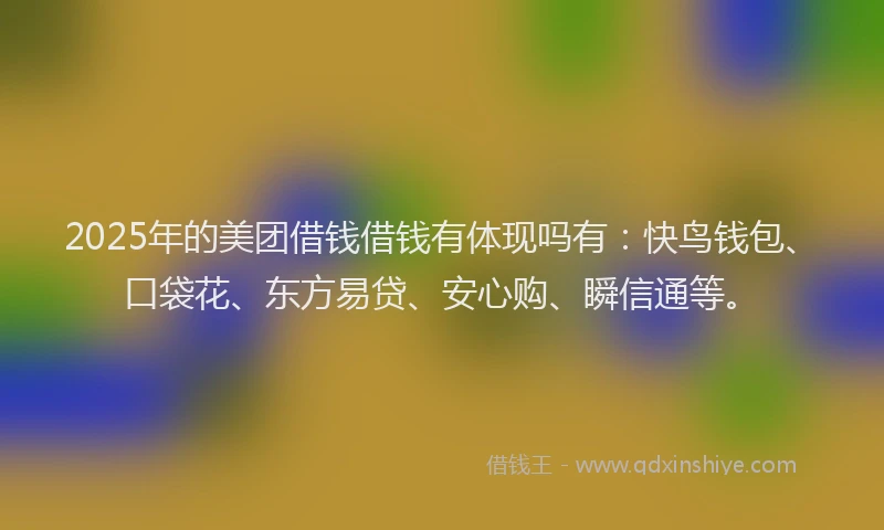 2025年的美团借钱借钱有体现吗有：快鸟钱包、口袋花、东方易贷、安心购、瞬信通等。