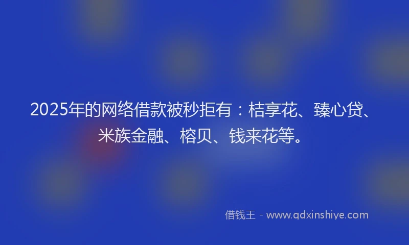 2025年的网络借款被秒拒有：桔享花、臻心贷、米族金融、榕贝、钱来花等。