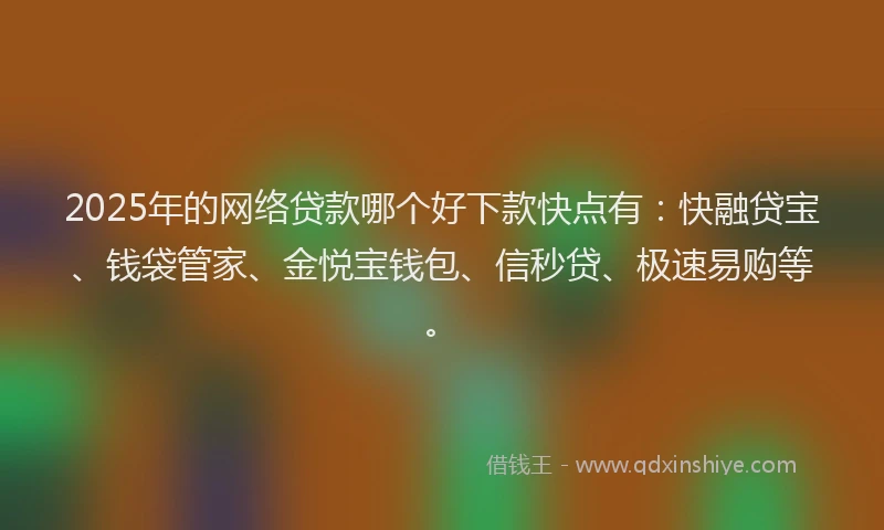 2025年的网络贷款哪个好下款快点有：快融贷宝、钱袋管家、金悦宝钱包、信秒贷、极速易购等。