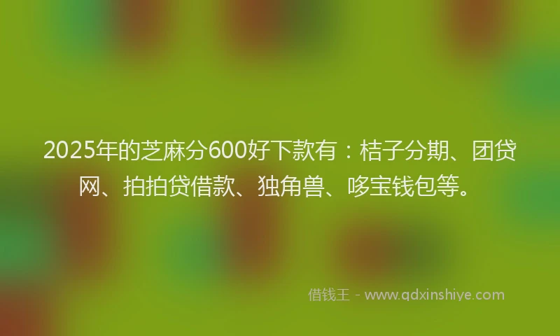 2025年的芝麻分600好下款有：桔子分期、团贷网、拍拍贷借款、独角兽、哆宝钱包等。