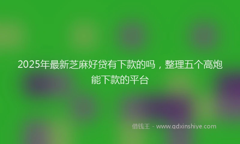 2025年最新芝麻好贷有下款的吗，整理五个高炮能下款的平台