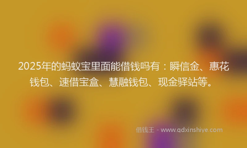 2025年的蚂蚁宝里面能借钱吗有：瞬信金、惠花钱包、速借宝盒、慧融钱包、现金驿站等。