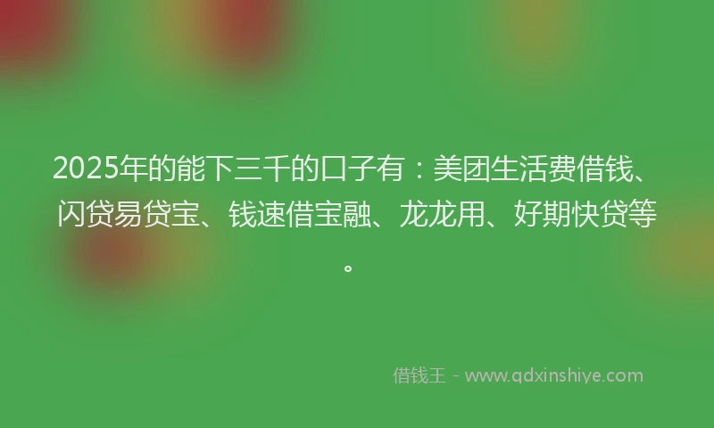 2025年的能下三千的口子有：美团生活费借钱、闪贷易贷宝、钱速借宝融、龙龙用、好期快贷等。