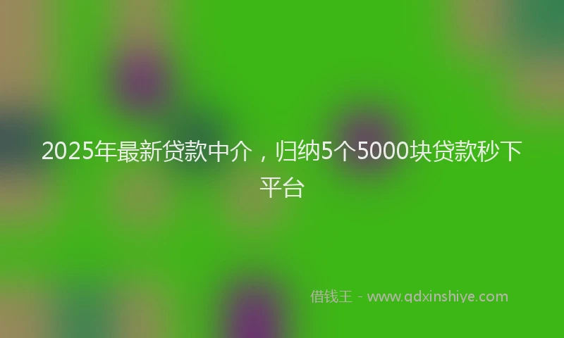 2025年最新贷款中介，归纳5个5000块贷款秒下平台