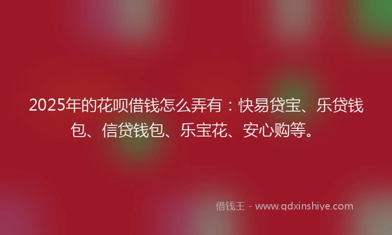 2025年的花呗借钱怎么弄有：快易贷宝、乐贷钱包、信贷钱包、乐宝花、安心购等。