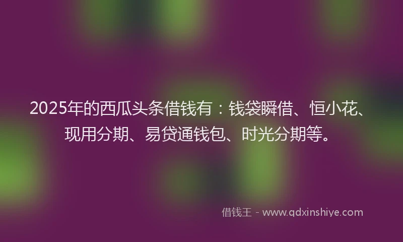 2025年的西瓜头条借钱有：钱袋瞬借、恒小花、现用分期、易贷通钱包、时光分期等。
