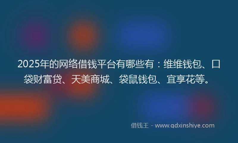 2025年的网络借钱平台有哪些有：维维钱包、口袋财富贷、天美商城、袋鼠钱包、宜享花等。