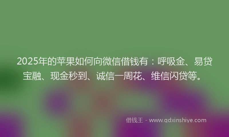 2025年的苹果如何向微信借钱有：呼吸金、易贷宝融、现金秒到、诚信一周花、维信闪贷等。