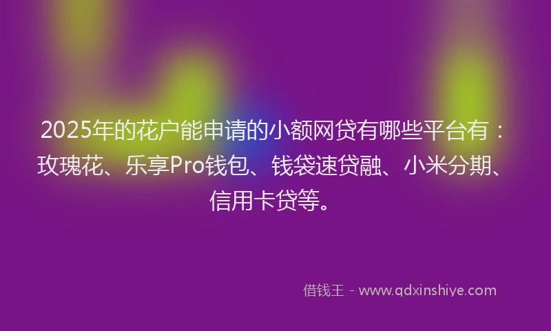 2025年的花户能申请的小额网贷有哪些平台有：玫瑰花、乐享Pro钱包、钱袋速贷融、小米分期、信用卡贷等。