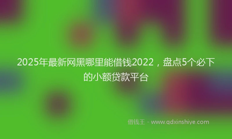 2025年最新网黑哪里能借钱2022，盘点5个必下的小额贷款平台