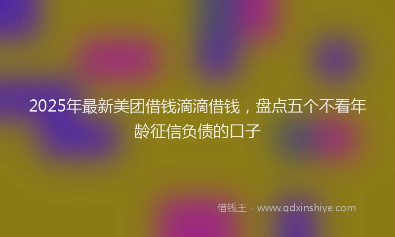2025年最新美团借钱滴滴借钱，盘点五个不看年龄征信负债的口子