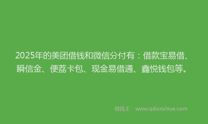2025年的美团借钱和微信分付有：借款宝易借、瞬信金、便荔卡包、现金易借通、鑫悦钱包等。